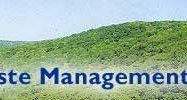 Management